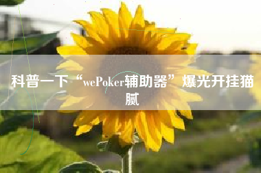 科普一下“wePoker辅助器”爆光开挂猫腻