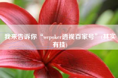 我来告诉你“wepoker透视百家号”(其实有挂)
