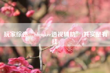玩家综述“hhpoker透视辅助”(其实是有挂)