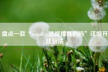 盘点一款“wepoker透视挂真的吗	”详细开挂玩法