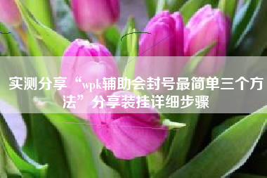 实测分享“wpk辅助会封号最简单三个方法”分享装挂详细步骤