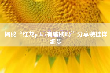 揭秘“红龙poker有辅助吗	”分享装挂详细步
