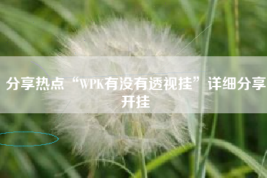 分享热点“WPK有没有透视挂	”详细分享开挂