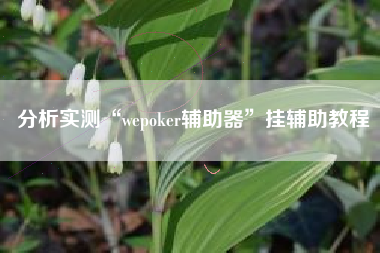 分析实测“wepoker辅助器”挂辅助教程