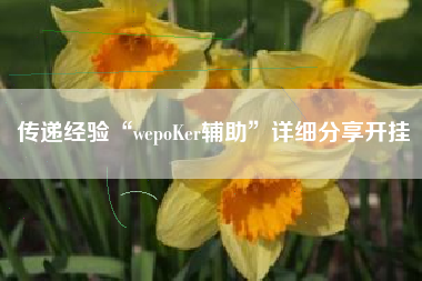 传递经验“wepoKer辅助”详细分享开挂