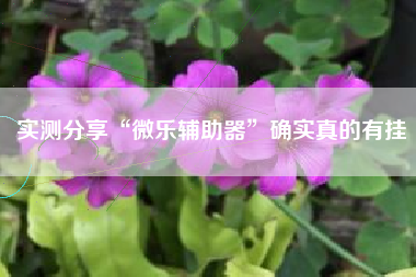 实测分享“微乐辅助器”确实真的有挂