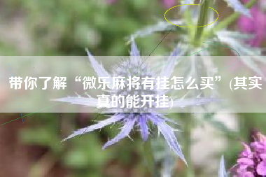 带你了解“微乐麻将有挂怎么买”(其实真的能开挂)