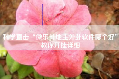 科学直击“微乐斗地主外卦软件哪个好	”教你开挂详细