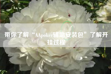 带你了解“AApoker辅助安装包”了解开挂过程