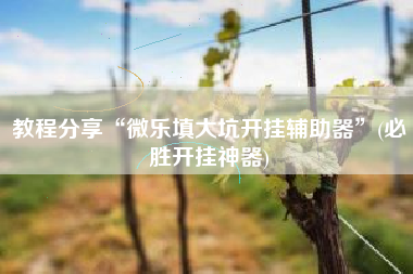 教程分享“微乐填大坑开挂辅助器”(必胜开挂神器)