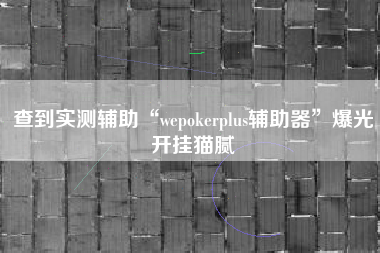 查到实测辅助“wepokerplus辅助器”爆光开挂猫腻