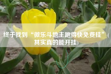 终于找到“微乐斗地主跑得快免费挂”(其实真的能开挂)