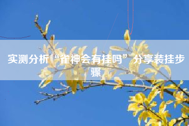 实测分析“雀神会有挂吗”分享装挂步骤