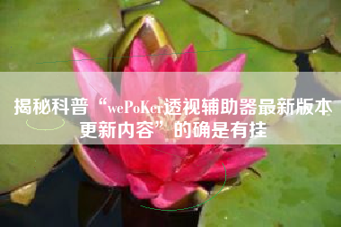 揭秘科普“wePoKer透视辅助器最新版本更新内容”的确是有挂