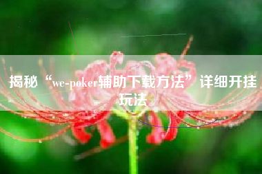 揭秘“we-poker辅助下载方法”详细开挂玩法