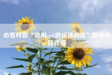 必看科普“德州wpk透视辅助器	”教你开挂详细