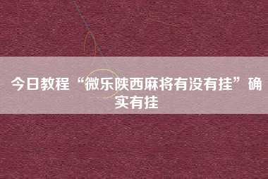 今日教程“微乐陕西麻将有没有挂	”确实有挂