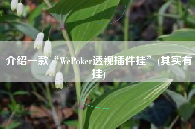 介绍一款“WePoker透视插件挂”(其实有挂)