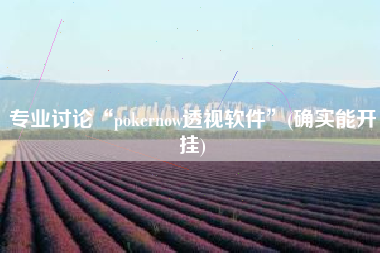 专业讨论“pokernow透视软件”(确实能开挂)