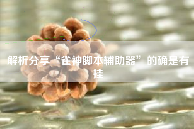 解析分享“雀神脚本辅助器”的确是有挂