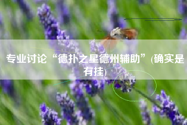 专业讨论“德扑之星德州辅助”(确实是有挂)