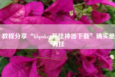 教程分享“hhpoker开挂神器下载”确实是有挂