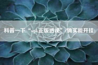 科普一下“wpk正版透视”(确实能开挂)
