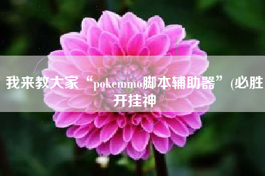 我来教大家“pokemmo脚本辅助器	”(必胜开挂神