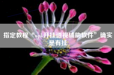 指定教程“wpk开挂透视辅助软件	”确实是有挂