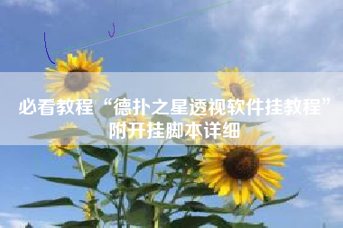 必看教程“德扑之星透视软件挂教程	”附开挂脚本详细