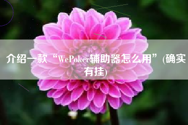 介绍一款“WePoker辅助器怎么用	”(确实有挂)