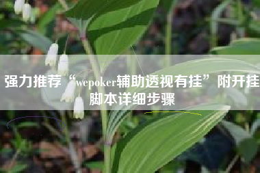 强力推荐“wepoker辅助透视有挂	”附开挂脚本详细步骤