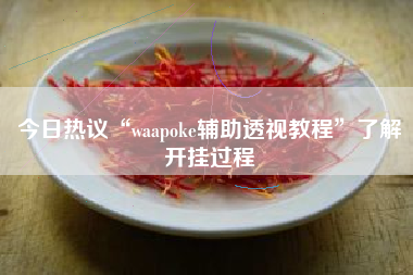 今日热议“waapoke辅助透视教程”了解开挂过程