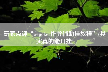 玩家点评“wepoker作弊辅助挂教程”(其实真的能开挂)