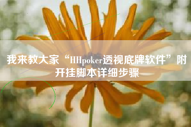 我来教大家“HHpoker透视底牌软件”附开挂脚本详细步骤