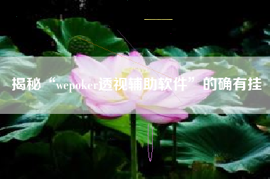 揭秘“wepoker透视辅助软件	”的确有挂