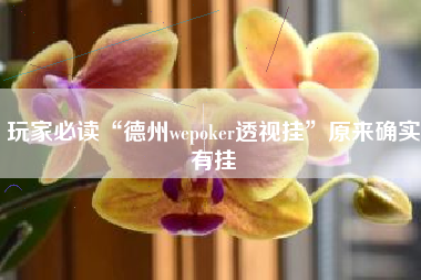 玩家必读“德州wepoker透视挂”原来确实有挂