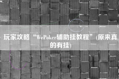 玩家攻略“WePoker辅助挂教程”(原来真的有挂)