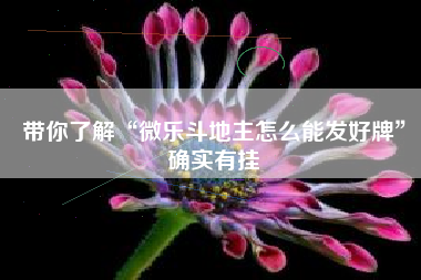 带你了解“微乐斗地主怎么能发好牌	”确实有挂