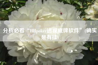 分析必看“HHpoker透视底牌软件	”(确实是有挂)