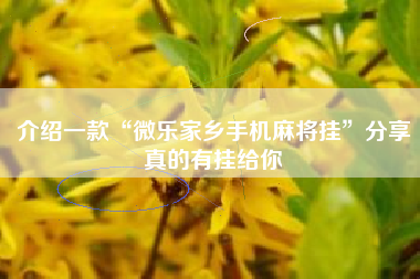 介绍一款“微乐家乡手机麻将挂”分享真的有挂给你