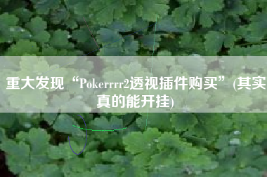 重大发现“Pokerrrr2透视插件购买	”(其实真的能开挂)