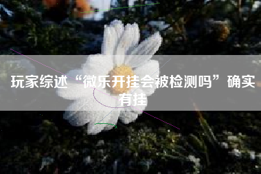 玩家综述“微乐开挂会被检测吗	”确实有挂
