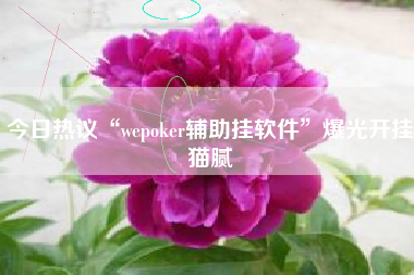 今日热议“wepoker辅助挂软件”爆光开挂猫腻