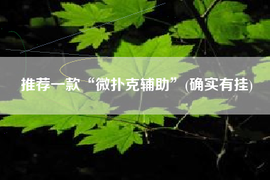 推荐一款“微扑克辅助”(确实有挂)