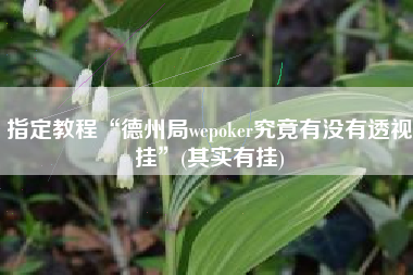 指定教程“德州局wepoker究竟有没有透视挂	”(其实有挂)