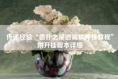 传递经验“德扑之星透视软件挂教程”附开挂脚本详细