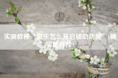 实测教程“微乐怎么开启辅助功能”(确实能开挂)