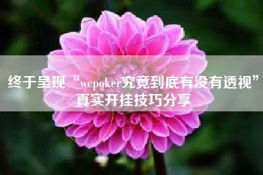 终于呈现“wepoker究竟到底有没有透视”真实开挂技巧分享