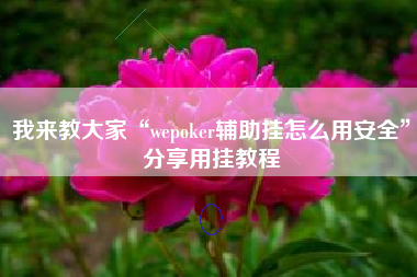 我来教大家“wepoker辅助挂怎么用安全	”分享用挂教程